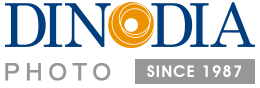 Dinodia Logo
