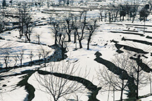 07-AMA-138303 - Winter Scene, Tangmarg (2200m)